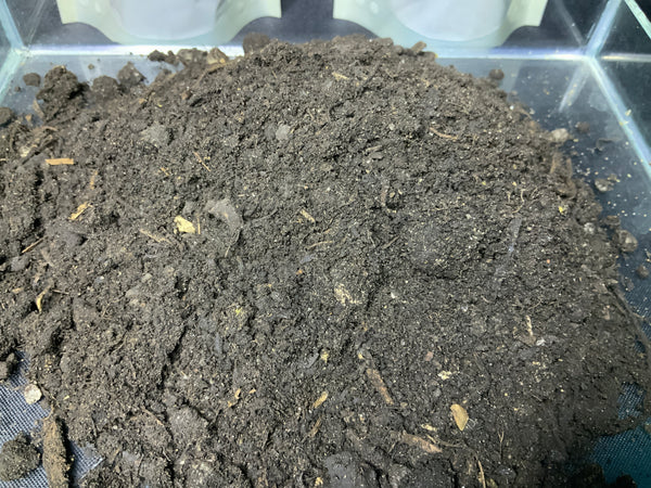 300ml of sterilised chemical free compost (Winter special)